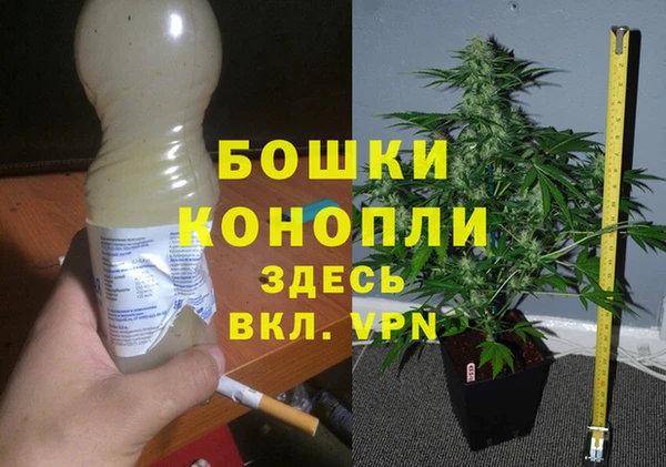 СК Богородицк