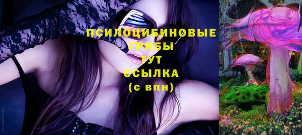 кокс Белокуриха