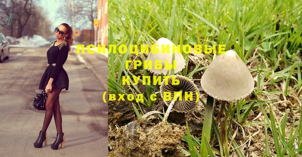 mix Богданович