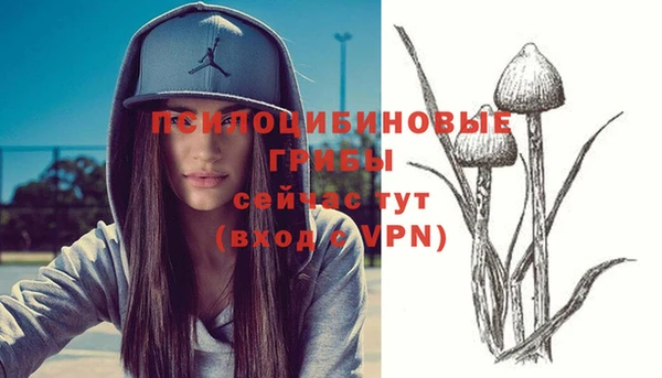 кокс Белокуриха