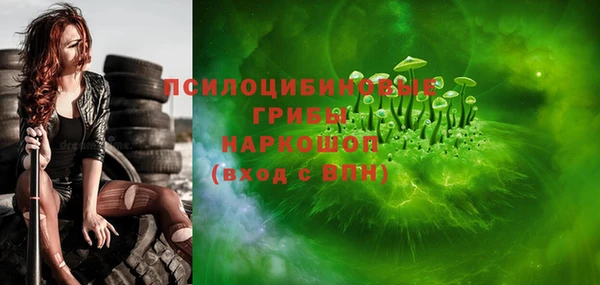 СК Богородицк