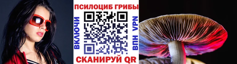 Псилоцибиновые грибы ЛСД  Купить где  Верхняя Тура 